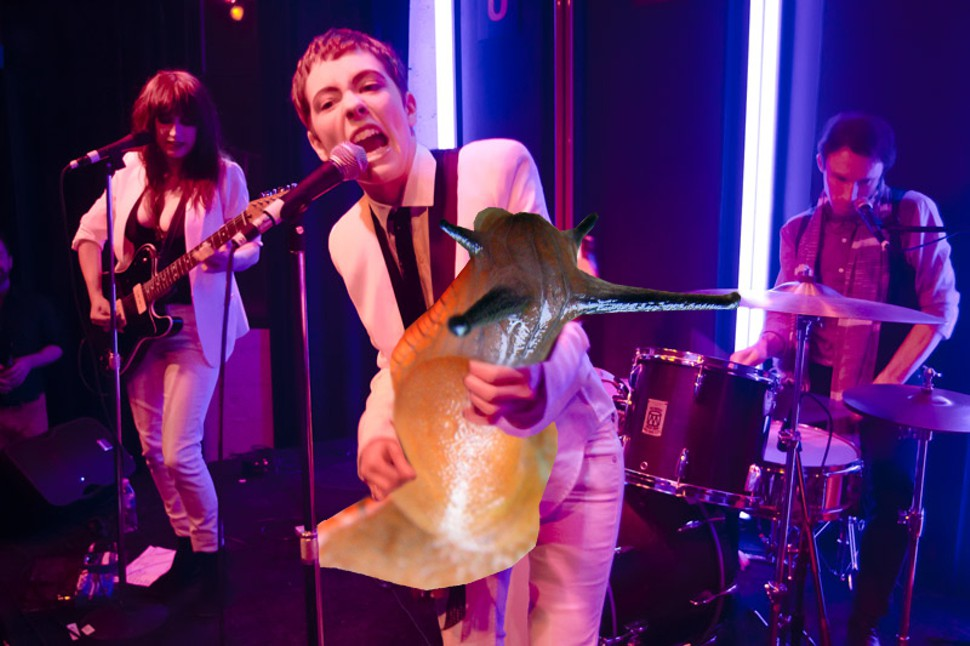 Here Are Some Nashville Bands Playing Slugs Instead of Guitars